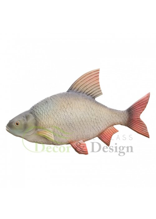 Figura dekoracyjna Płoć (Rutilus rutilus)